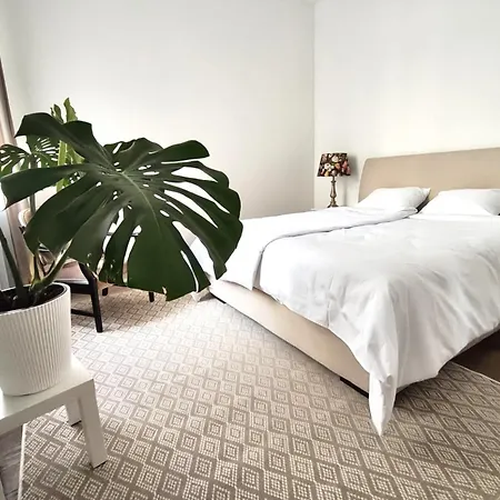 Spacious In The Area