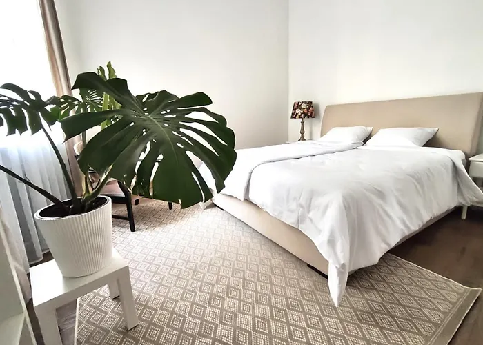 Spacious In The Area